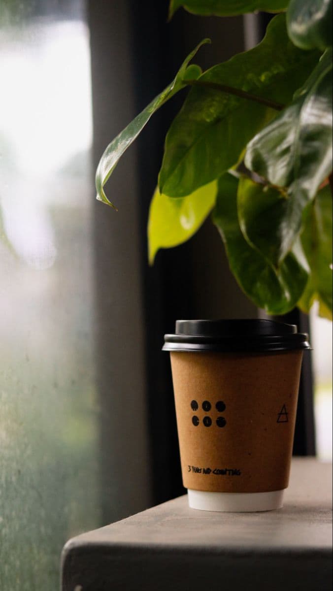 Gallery image of paper cups